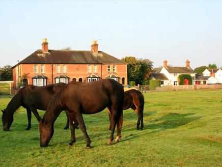 Waterley Cottage in the New Forest