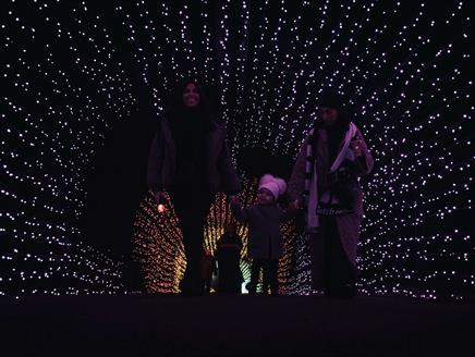 Enlightened Staunton