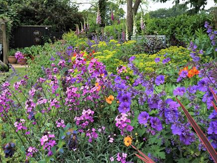 Lymington Open Gardens