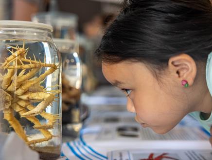 Image of child interacting with an exhibit at the NOC Ocean Open Day
