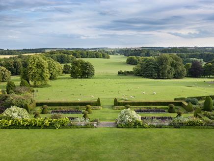 Spring guided walk at Hinton Ampner