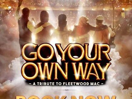 Go Your Own Way at Princes Hall show poster
