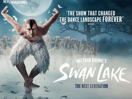 Male ballet dancer dressed as swan with a heard of swans in a line behind