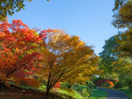 Gardeners' Breakfast and Tour at Sir Harold Hillier Gardens