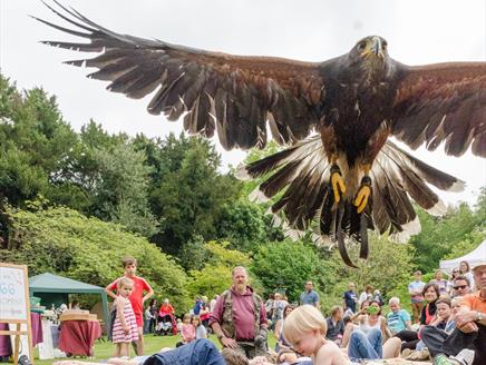 Droxford Country Fair