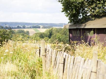 Feather Down - Manor Farm