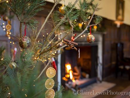 Christmas Photography Workshop