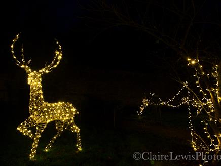 The Glimmering Gardens at Chawton House