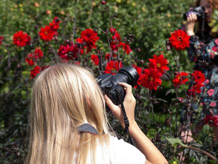 Spring Flowers Family Photography Workshop at Chawton House