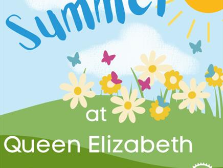 Summer at Queen Elizabeth Country Park