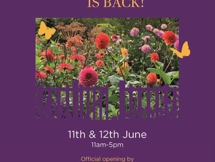Bramshott Open Gardens