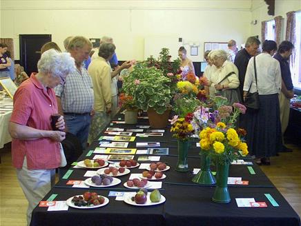 51st Sherfield Show