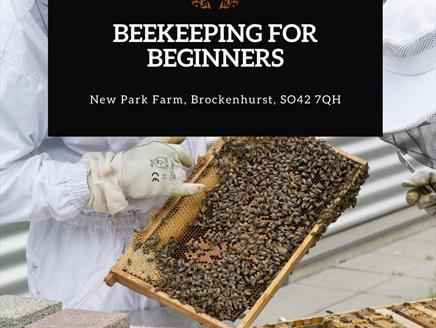 Beekeeping for Beginners