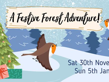 A Festive Forest Adventure! At Queen Elizabeth Country Park