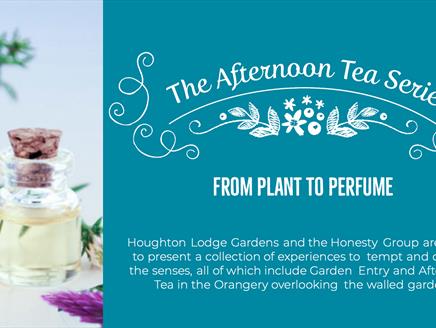 The Afternoon Tea Series: From Plant to Perfume at Houghton Lodge Gardens