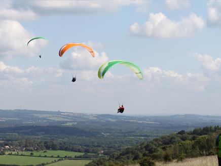 Albatross Paragliding