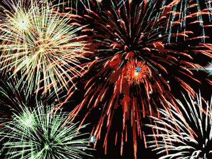 Colden Common Bonfire and Fireworks