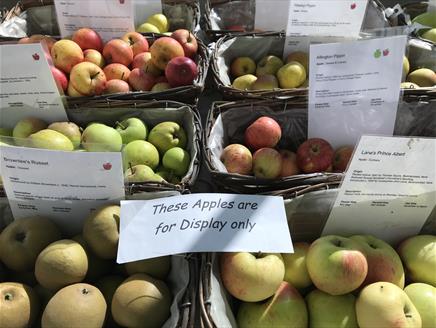 Apple Day at Houghton Lodge Gardens