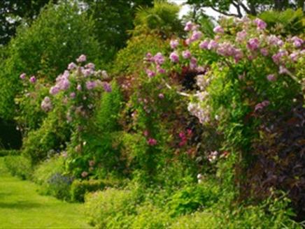 Apple Court Garden