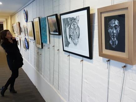 Hampshire Art Exhibition at Winchester Discovery Centre