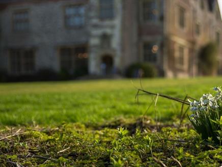 Snow Drops at Chawton House Library