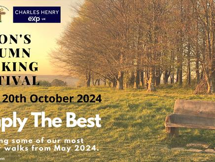 Alton's Autumn Walking Festival 2024
