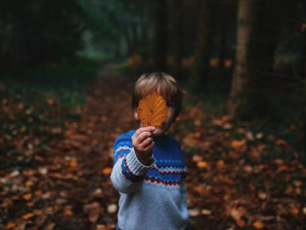 Autumn Nature Explorer Day at Gilbert White's House & Gardens
