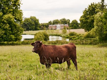 Avington Accommodation