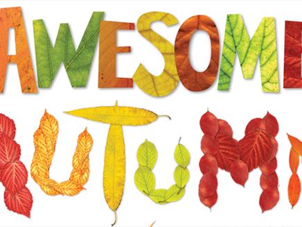 Awesome Autumn at The Lights Theatre