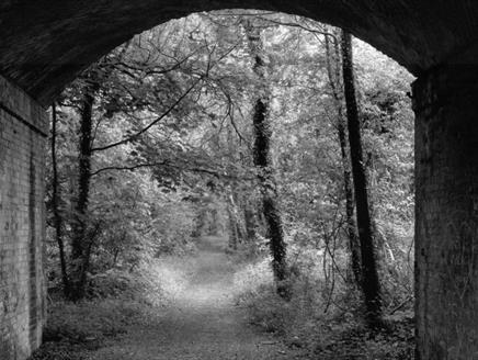 Sprat and Winkle photography Exhibition