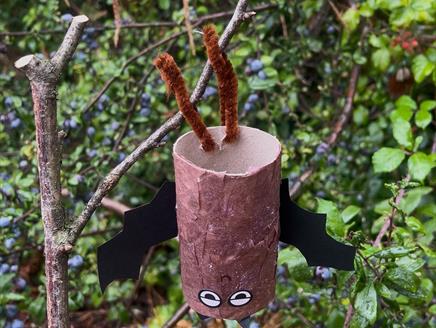 Upside Down Bat Craft