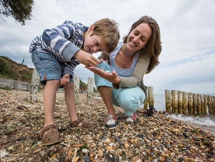 Wild Play Wander at Lepe Country Park