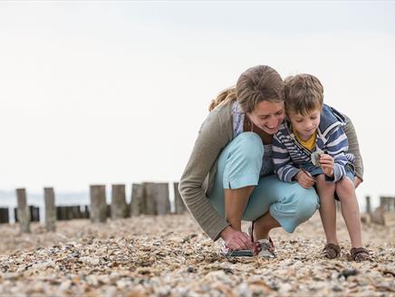 Seashore Safari at Lepe Country Park