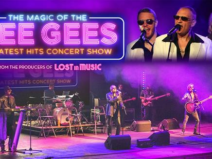Mix of images for The Magic of the Bee Gees.