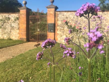 World Bee Day: Celebration Family Day at Chawton House