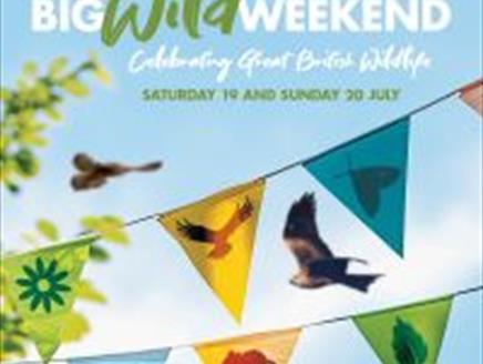 Big Wild Weekend at Hawk Conservancy Trust