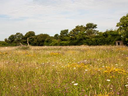 Biodiversity Breakfast at Hawk Conservancy Trust