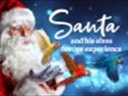 Join Santa and his Toy Shop Elves