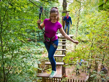 Net crossing at Go Ape!