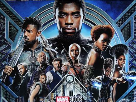 Black Panther at Winchester Science Centre