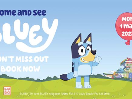 Come and see Bluey at Birdworld