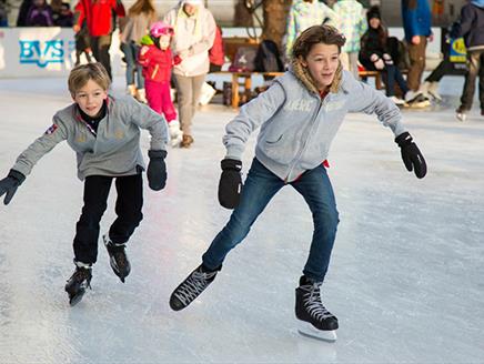 Whitehill & Bordon Ice Rink