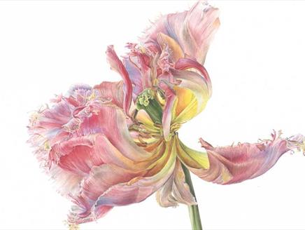 The Sunday Times Watercolour Competition at Willis Museum and Sainsbury Gallery