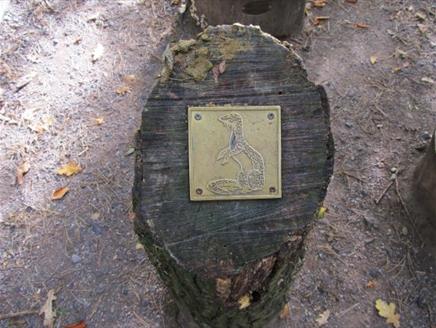 Brass Rubbing Trail at Exbury Gardens & Steam Railway
