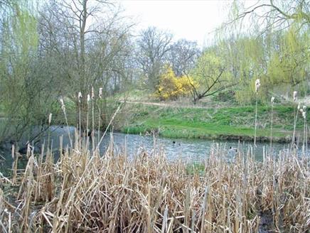 Brickfields Country Park