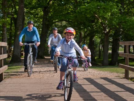 Brockenhurst to Rhinefield Arboretum Cycle Route