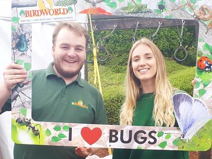 Big Bug Bonanza Week at Birdworld
