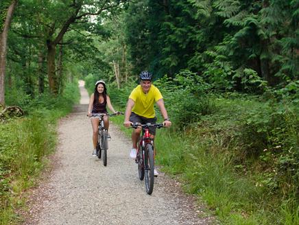 Burley to Bolderwood Deer Sanctuary Cycling Route