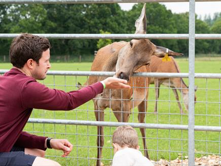 Sky Park Farm Anniversary Celebration