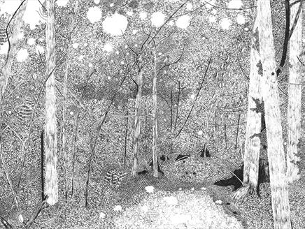 From the Road at The Sheep Shed Gallery